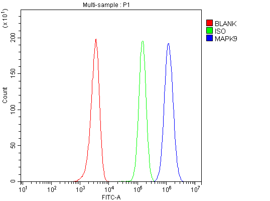 Flow Cytometry analysis of HEL cells using anti-JNK2/MAPK9 antibody (RP1077)