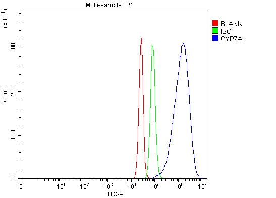  Flow Cytometry analysis of SiHa cells using anti-CYP7A1 antibody (RP1079)