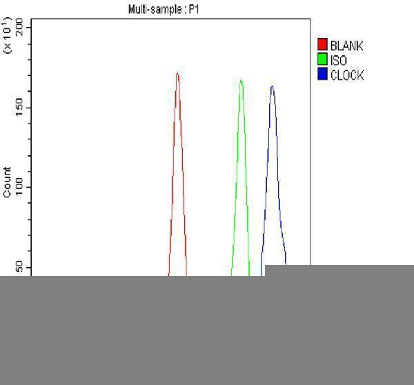 rp1082 clock primary antibodies fcm testing 6