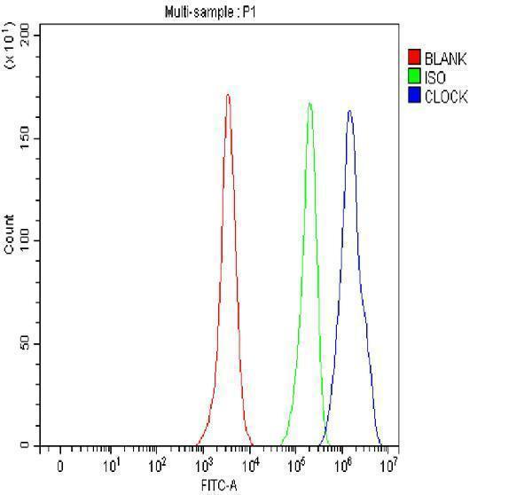 rp1082 clock primary antibodies fcm testing 6_1