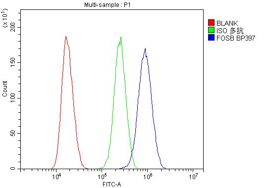 rp1086 fosb primary antibodies fc testing 6