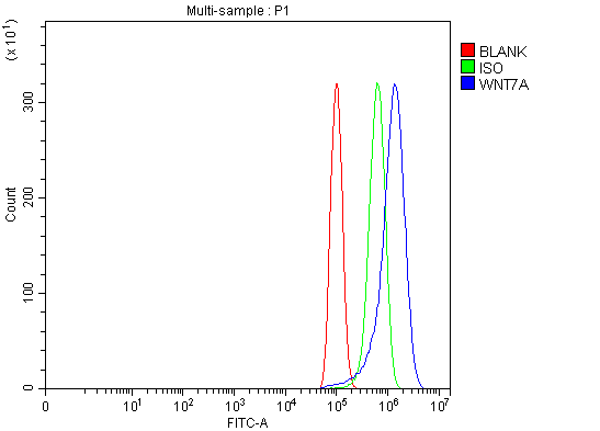 rp1088 wnt7a primary antibodies fcm testing 2