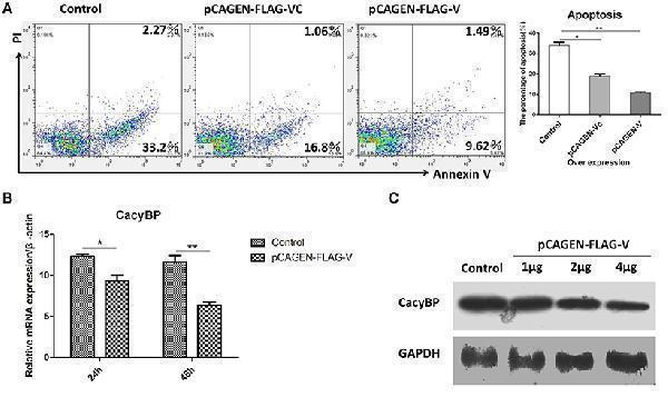 rp1104 fcimb 08 00304 g005