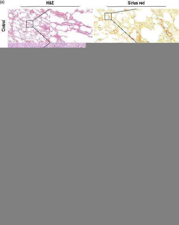 rp1104 fcimb 14 1446305 g003