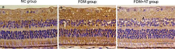 rp1108 12886_2024_3309_fig5_html