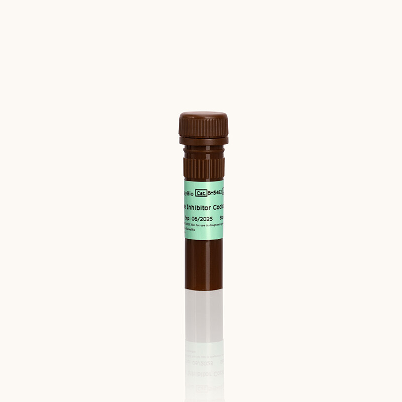 yamaybio BH5482 8589c186_1