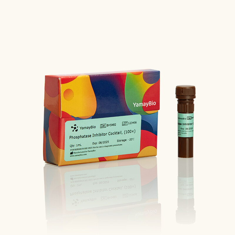 Phosphatase Inhibitor Cocktail (100x)