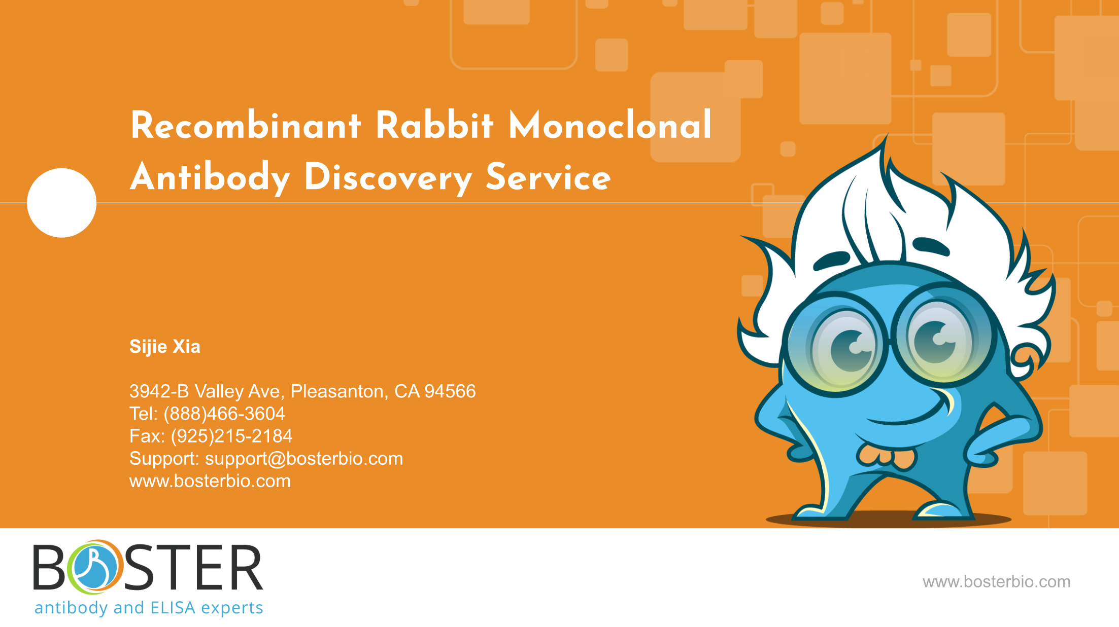 Rabbit monoclonal service presentation slides preview