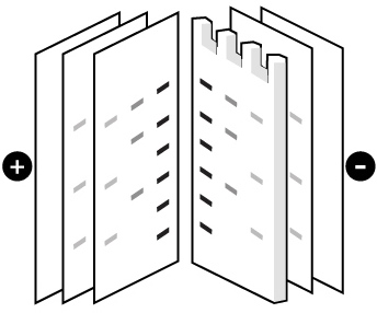 Western blot protocol icon