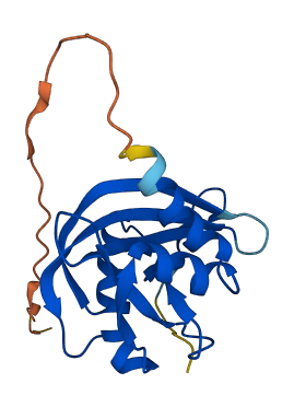 NUDT4B 3D structure