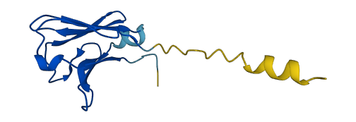 IGLV10-54 3D structure