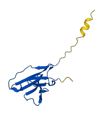 IGLV7-46 3D structure