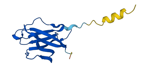 IGLV5-37 3D structure