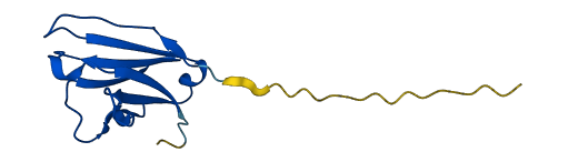 IGLV3-22 3D structure