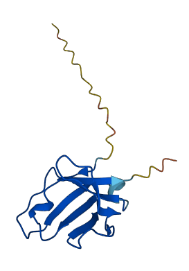 IGLV2-18 3D structure