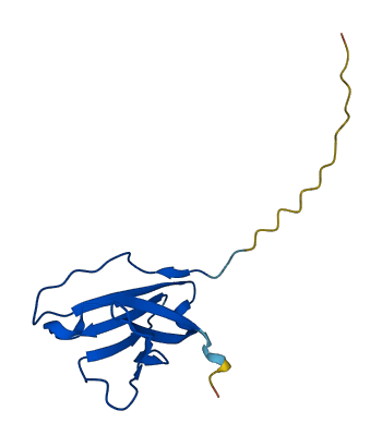 IGLV3-12 3D structure