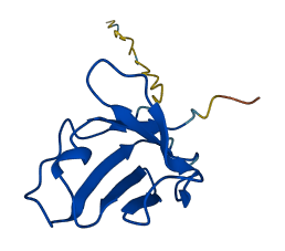 IGLV3-10 3D structure