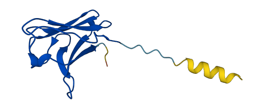 IGLV3-9 3D structure