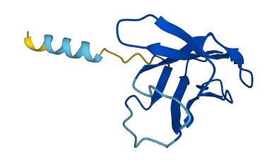 TRBV19 3D structure