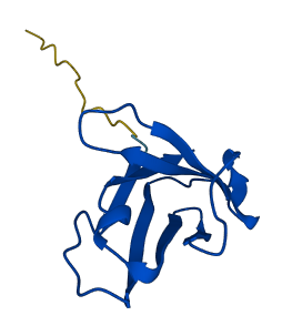 TRBV20-1 3D structure