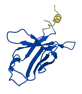 IGKV2-28 3D structure
