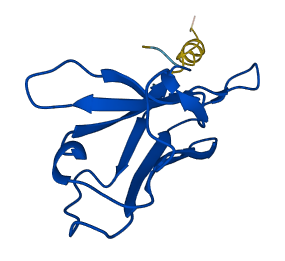 IGKV2D-29 3D structure