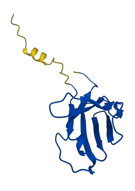 IGKV1D-17 3D structure