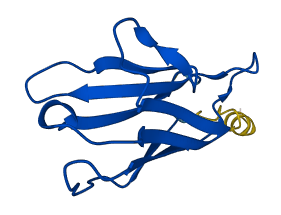 IGKV2D-30 3D structure