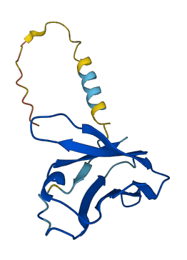 TRAV6 3D structure