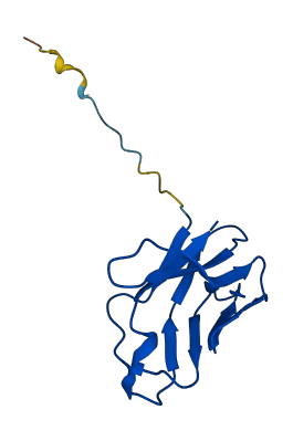 TRAV9-1 3D structure