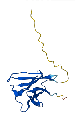 IGLV5-45 3D structure