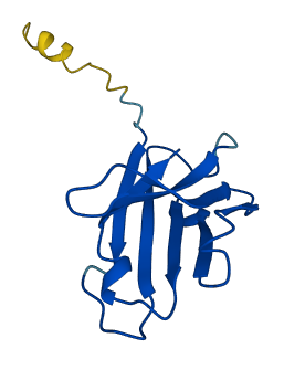 IGHV4-30-2 3D structure