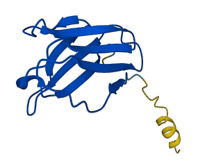IGKV3D-15 3D structure