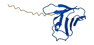 TRAV27 3D structure