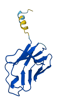 TRAV9-2 3D structure