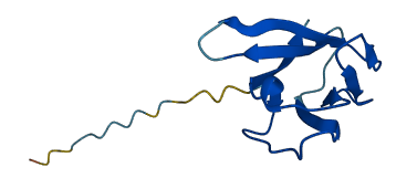 TRAV26-1 3D structure