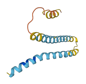 TMEM265 3D structure