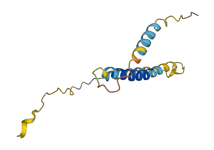 KCNE1B 3D structure