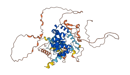 TBC1D3D 3D structure