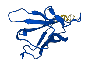 IGKV2-40 3D structure