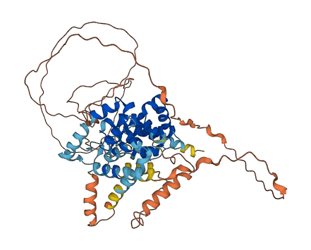 TBC1D3I 3D structure