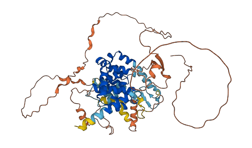 TBC1D3E 3D structure