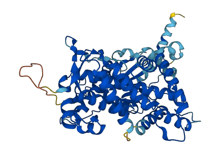 CYP2D7 3D structure