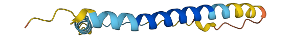 SMIM26 3D structure