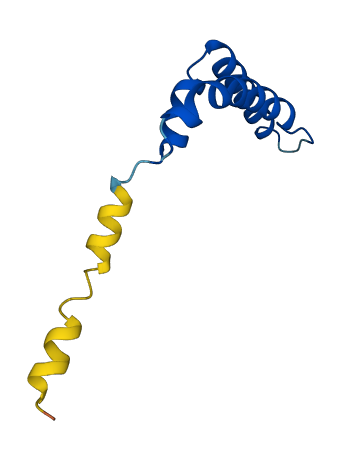 UQCRHL 3D structure