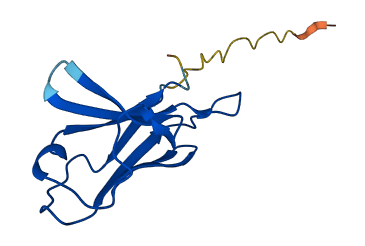 IGKV2D-26 3D structure