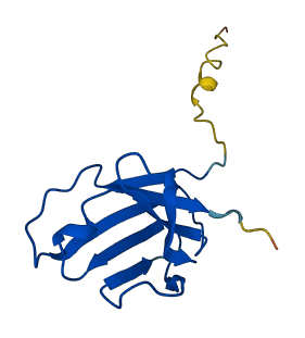 IGKV3D-11 3D structure