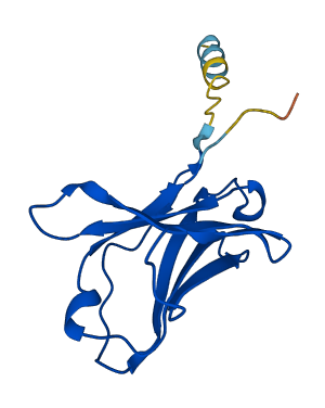IGLV5-52 3D structure
