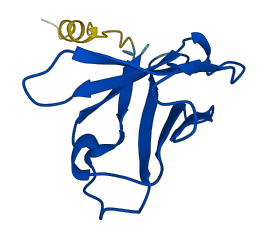 IGHV1-45 3D structure