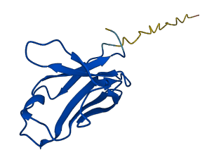 IGKV6D-21 3D structure